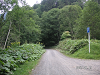 s_PICT0652_thumb.png